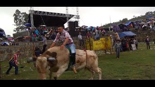 JARIPEO EN SAN ANDRES TZIRONDARO TOROS DERRIBADORES DE RANCHO EL ENCANTO 03DIC2015 [upl. by Burch]