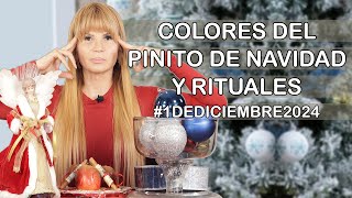 Colores Del Pinito de Navidad y Rituales Mhonividente [upl. by Anivad]