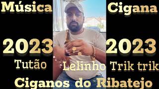 MÚSICA CIGANA 2023 CIGANOS DO RIBATEJO  TUTÃO E LELINHO TRIK TRIK [upl. by Halli]