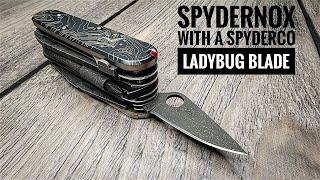 Custom SAK with a Spyderco LADYBUG blade [upl. by Varin]