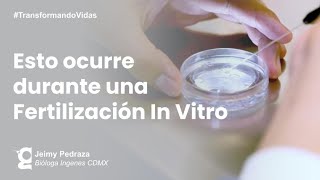 La Fertilización In Vitro te da una gran probabilidad de tener un bebé  Ingenes [upl. by Short433]