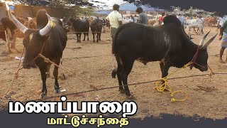 Manapparai mattu santhai  மணப்பாறை மாட்டு சந்தை [upl. by Nicol878]