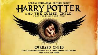 Harry Potter and the Cursed Child Audiobook 3 Summary amp InDepth Review  Wizarding World Insights [upl. by Aisak]