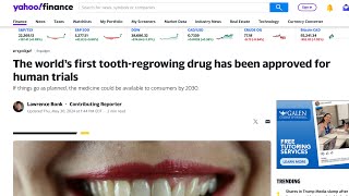 Update on human toothregrowing drug now set for September trials teeth [upl. by Mandeville]