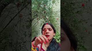 bollywood song magu e duwaye💞♥️💞🌹👍🙏 [upl. by Horacio662]