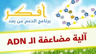 دروس أفكر  آلية مضاعفة الـ ADN [upl. by Hazeefah102]