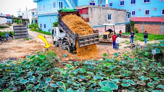 WOW Start a New Project Complete100 Landfill in Flooded Area Bulldozer D20A KOMATSU amp 5T Truck [upl. by Sibylla86]