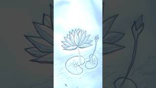 Easy water lily drawing ❤️❤️satisfying waterlily drawing art [upl. by Aidnyl251]