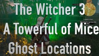 The Witcher 3 A Towerful of Mice Ghost Locations [upl. by Nole72]