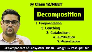 Steps of Decomposition  Ecosystem  Class 12NEET  By Pashupati Sir [upl. by Aisan]