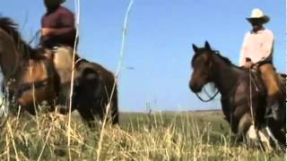 Working Ranch in Nebraska mit PFERD amp REITER [upl. by Conroy]