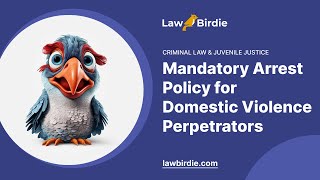 Mandatory Arrest Policy for Domestic Violence Perpetrators  Essay Example [upl. by Kolva]