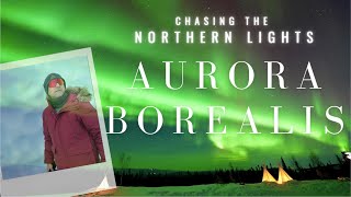 Northern Lights in Alaska  Aurora Borealis  Alaska winter  Season Alaska 4K [upl. by Kath]