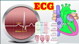 ECG Test in Hindi  ईसीजी टेस्ट क्या है  Electrocardiogram [upl. by Cila]