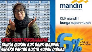 PINJAMAN KUR BANK MANDIRI 2024 CARA PENGAJUAN SYARAT DAN BESAR PINJAMAN KUR BANK MANDIRI 2024 [upl. by Donahue902]