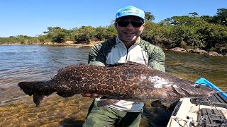 PEIXE COM PELE DE ONÇA PEGA NO MILHO E NA MASSINHA [upl. by Noli]