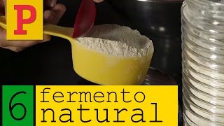 Como fazer fermento natural  Vídeo 6 [upl. by Tekcirc481]