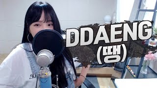 BTS방탄소년단  DDAENG땡 COVER by 새송｜SAESONG [upl. by Leonardo]