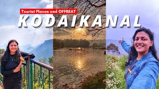 Kodaikanal Solo Trip  Kodaikanal Tourist Places and Beyond  2 Day Itinerary  TamilNadu Tourism [upl. by Ibur]