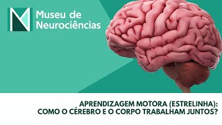 Aprendizagem Motora Estrelinha  Descomplicando as Neurociências [upl. by Allin962]