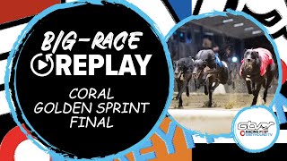 2023 Coral Golden Sprint Final  Droopys Good  Greyhound Race Replays  2023 Big Finals [upl. by Nomed91]