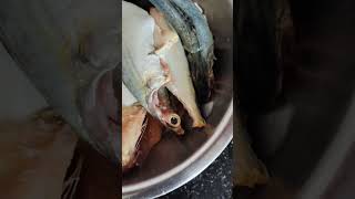 வாங்க சுவைக்கலாம் மீன் குழம்பு  Preparing Lunch for Fish Cooking vlog is live [upl. by Assirem372]