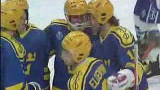 HockeyVM 1989  Det bästa från Tre Kronor [upl. by Yart]