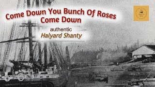 Come Down You Bunch Of Roses Come Down  Halyard Shanty [upl. by Nikolos]