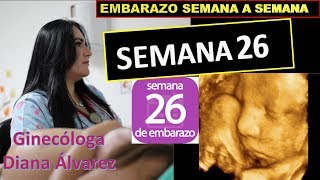 SEMANA 26 EMBARAZO SEMANA A SEMANA POR GINECOLOGA DIANA ALVAREZ [upl. by Medwin]