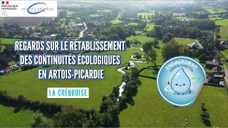 La Créquoise  Regards sur les rétablissements écologiques en ArtoisPicardie [upl. by Annohsak]