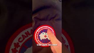 How to legit check your Canada goose badge and coat pandabuy [upl. by Ynnavoig560]