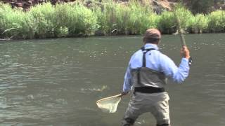 Dry Fly Fishing on a Cuthroat Leader [upl. by Kore]