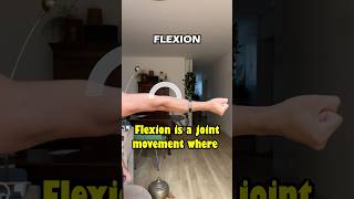 Flexion amp Extension Anatomical movement movement mobility anatomy flexion extension [upl. by Jorry]