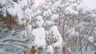 Perisher  30cm of Snow Arrives in Perisher Overnight [upl. by Aitan]