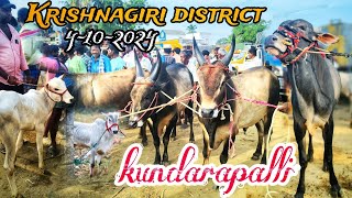 4102024 kundarapalli Friday market Krishnagiri district நாட்டு மாடுகள் விற்பனை சந்தை கிருஷ்ணகிரி [upl. by Gasperoni]