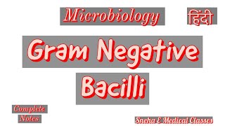 Gram Negative Bacilli in Hindi Microbiology [upl. by Alessandra]