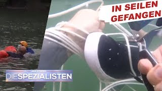 Fallschirmabsturz Riskanter Einsatz der Wasserrettung  Auf Streife  Die Spezialisten  SAT1 TV [upl. by Fawn]