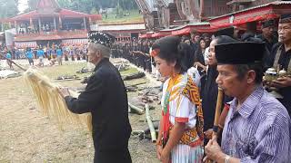 Toraja Funeral Ceremony Rambu Solo [upl. by Lyontine]