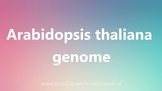 Arabidopsis thaliana genome  Medical Meaning [upl. by Harias]