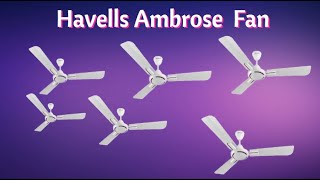 Havells Ambrose 1200mm Ceiling Fan  Unboxing Q [upl. by Curkell]