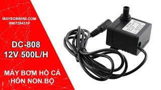 Máy bơm nước chìm hồ cá hòn non bộ DC808 12V 500L [upl. by Robina]