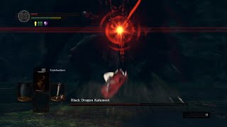 Black Dragon Kalameet SL1 No Damage  Dark Souls Remastered [upl. by Ynoyrb]