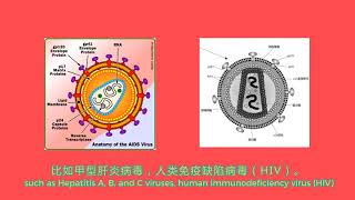 Biosafety Level of Laboratory [upl. by Gnehc]