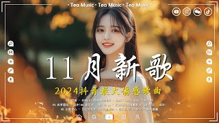 40首超好聽的流行歌曲💝2024年 11月份爆火全網的歌曲【動態歌詞】Lyrics【高音質】向思思  總會有人 刪了吧  小燦  斷送青春愛錯人 承桓  希望下次去遠方 [upl. by Touber]