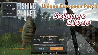 Unique European Perch Selenge River  Fishing Planet [upl. by Eimarej]