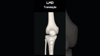 Joelho Translação LM 2  Movimento  Programa Anatomia 3D Software shorts anatomy biology [upl. by Anavlis]