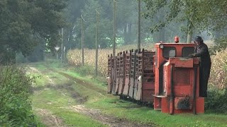 Feldbahnrefugium Lohne [upl. by Wershba]