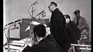 Eichmann trial  Session No 113 [upl. by Dion]