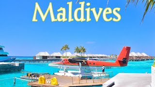 Amazing Maldives  beautiful beaches  most beautiful country [upl. by Inalaek]