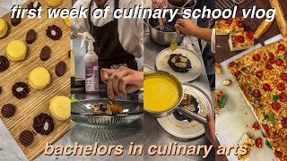 come to culinary school with me  week in my life as a culinary student  bachelors in culinary arts [upl. by Gustavus567]